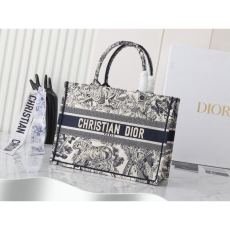 Christian Dior Shopping Bags